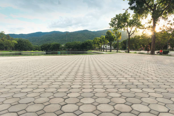Best Driveway Paving Contractor  in Colchester, IL